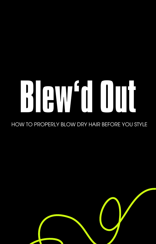Blew'd Out- How to properly blow dry hair E-Book